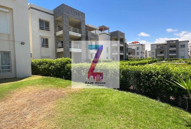 66175775 - Property Image 2