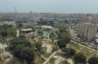 شقة - 3 غرف نوم - 3 حمامات للبيع في الأزاريطة - حي وسط - الاسكندرية