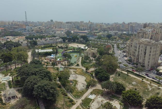 96582743 - صورة العقار 3