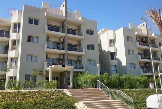 55755823 - صورة العقار 3