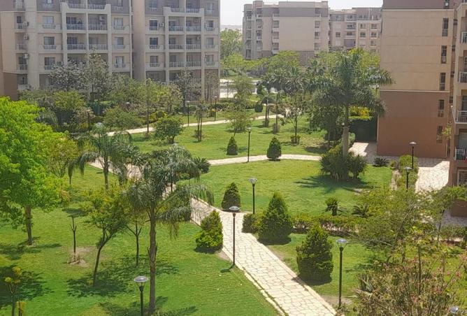 74050455 - الصورة الرئيسية للعقار