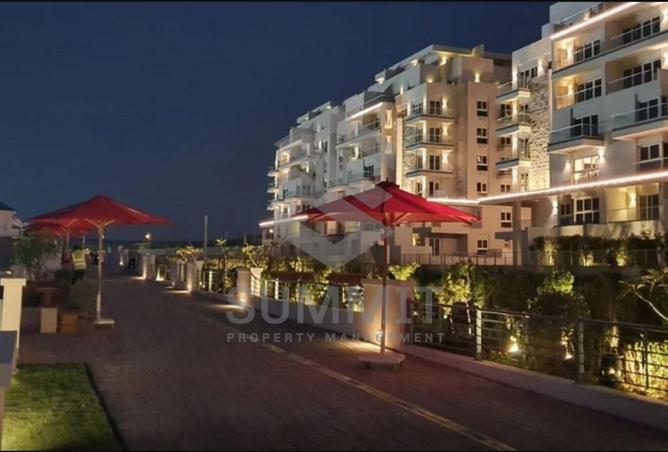 8534402 - Property Image 3