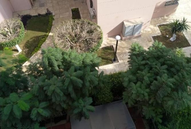 68795966 - صورة العقار 2