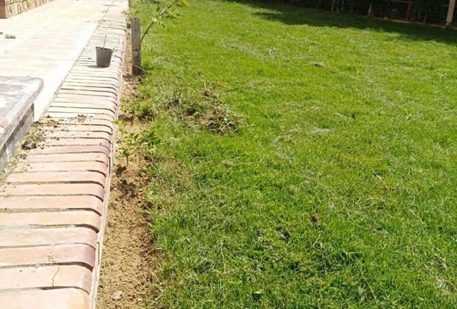 8655703 - صورة العقار 2