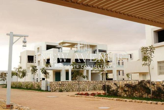 70363672 - صورة العقار 2