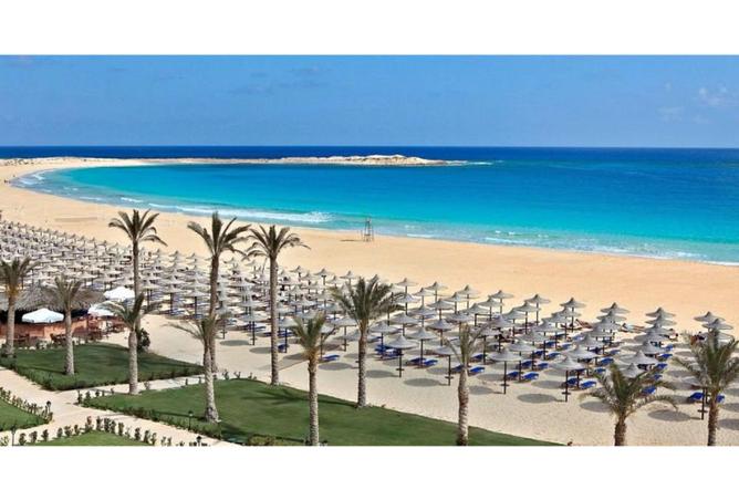 69055819 - Property Image 3