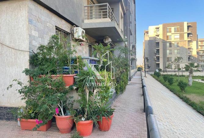 57494345 - صورة العقار 3