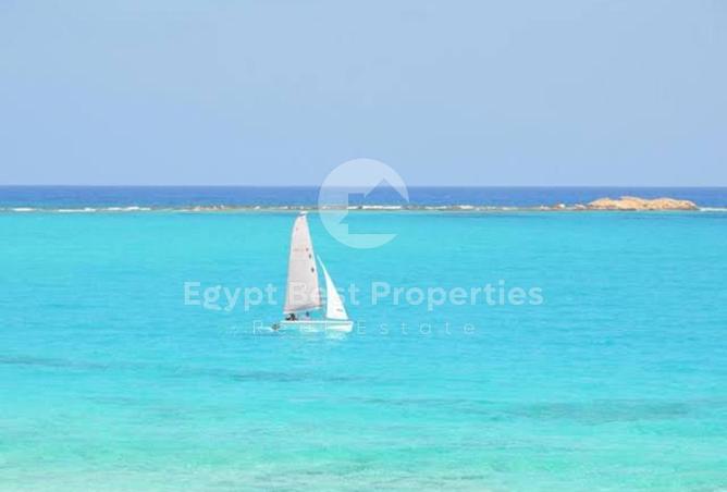 91294766 - صورة العقار 3