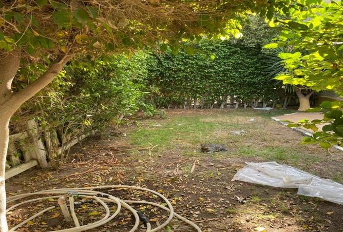 8570243 - صورة العقار 3