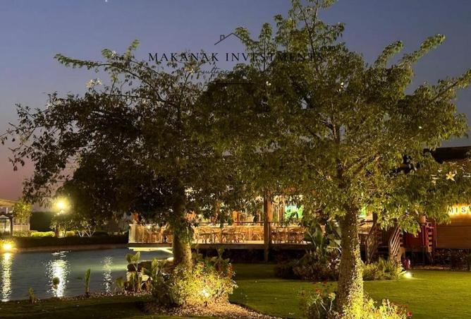 64906309 - صورة العقار 3