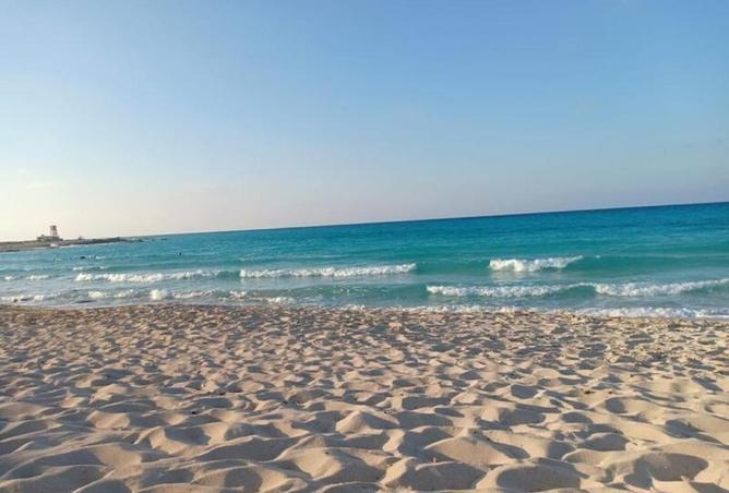 97434277 - صورة العقار 3