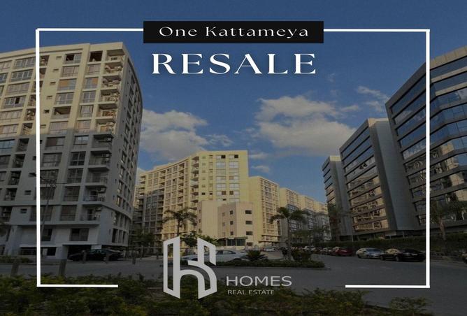 52975428 - Property Image 3