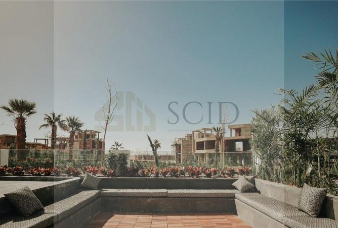 84774581 - صورة العقار 3