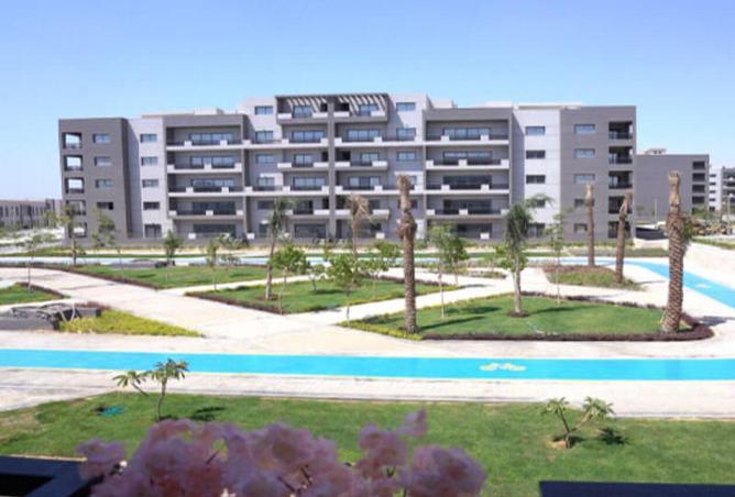 58493001 - صورة العقار 3