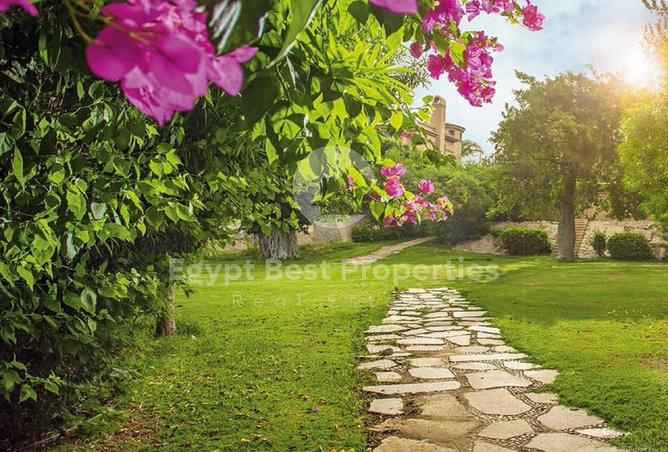 56246627 - صورة العقار 2