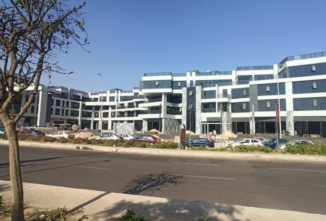 58742334 - Property Image 3