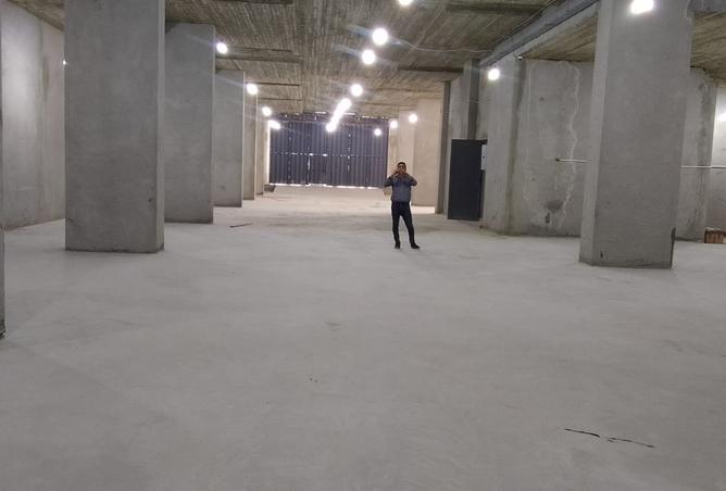 101787070 - Property Image 3