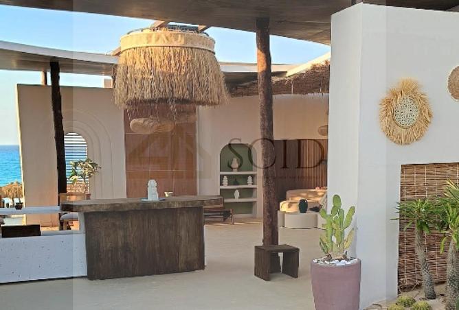 51176145 - Property Image 3