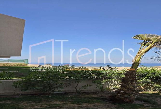 79714842 - صورة العقار 3