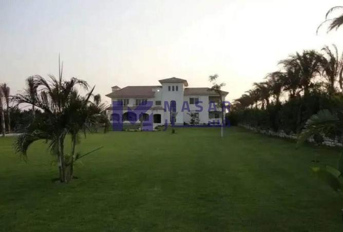 61446749 - Property Image 3