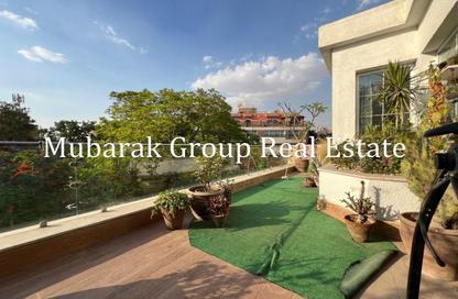 Roof - 1 Bedroom - 2 Bathrooms for rent in Street 14 - Maadi - Hay El Maadi - Cairo