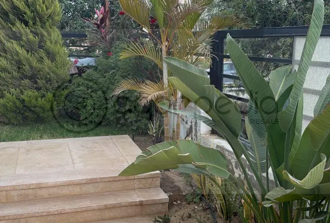 101773498 - صورة العقار 2