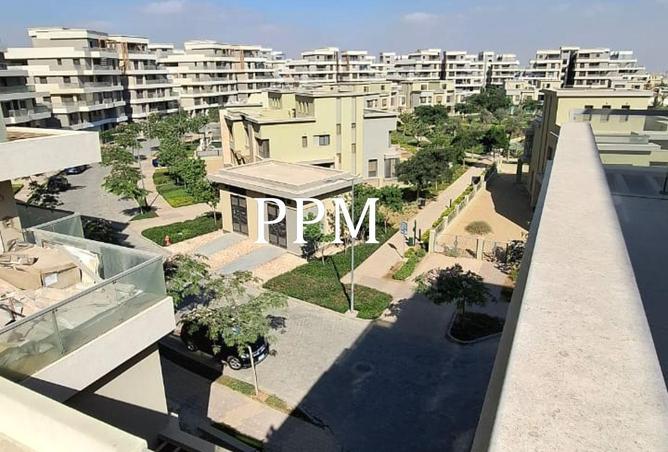 8695381 - Property Image 3