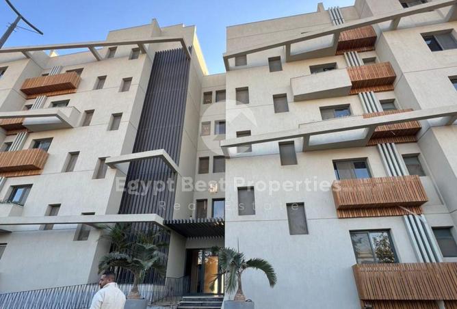 55753004 - صورة العقار 2