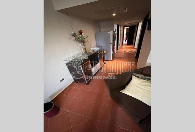 62648601 - Property Image 3