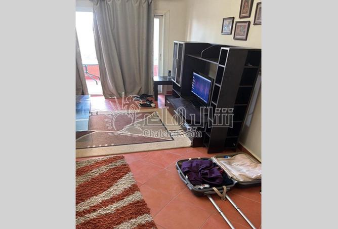 62648601 - Property Image 2