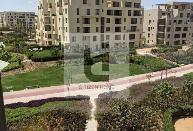 84780095 - صورة العقار 3