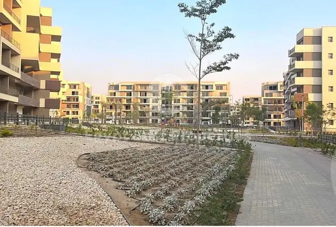 118549446 - Property Image 3
