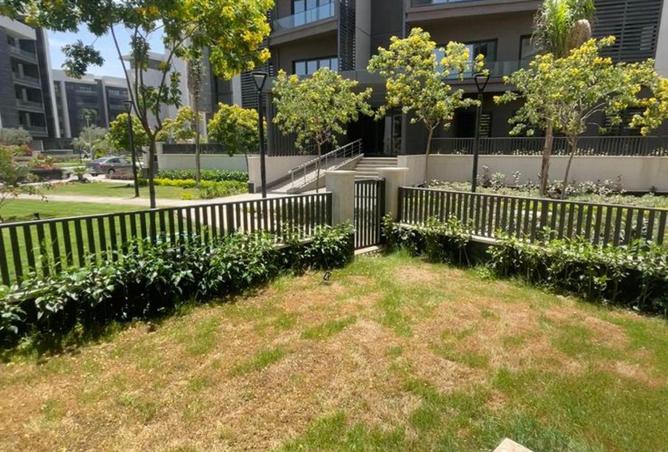 67993376 - صورة العقار 2