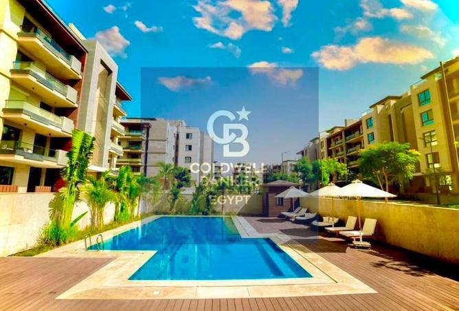 96861271 - Property Image 3