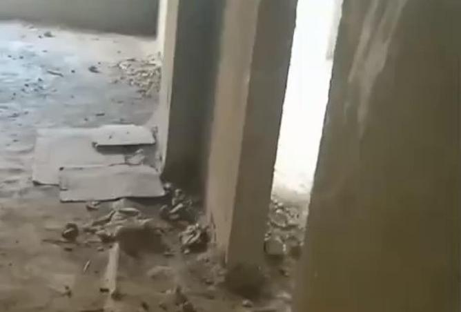 55248079 - صورة العقار 3