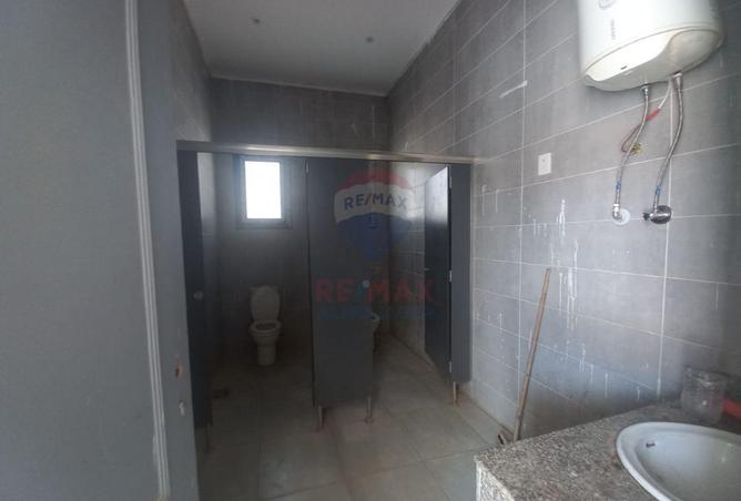 79997052 - صورة العقار 3