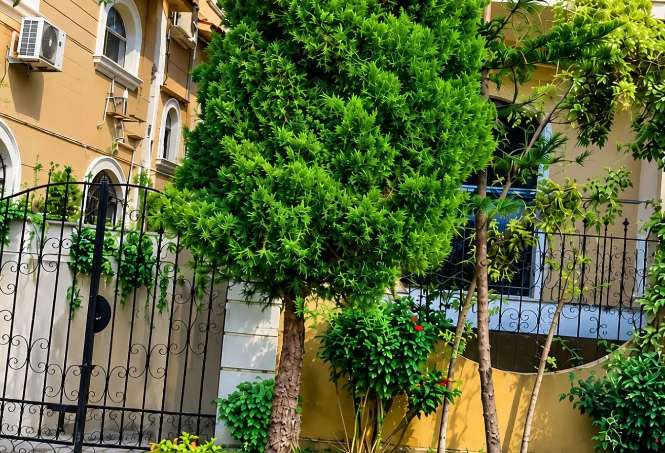 118802617 - الصورة الرئيسية للعقار