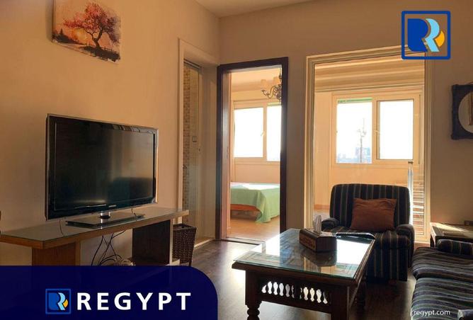 55756735 - Property Image 2