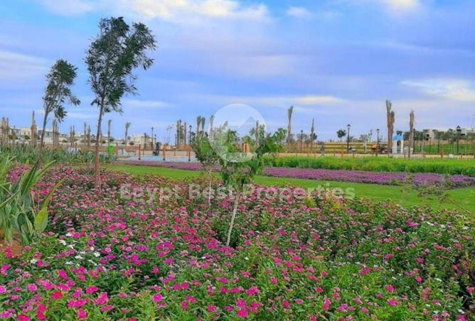 2PFvMD12wiG - Property Image 2