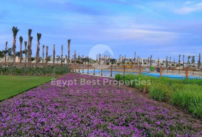 2PFvMD12wiG - Property Image 3