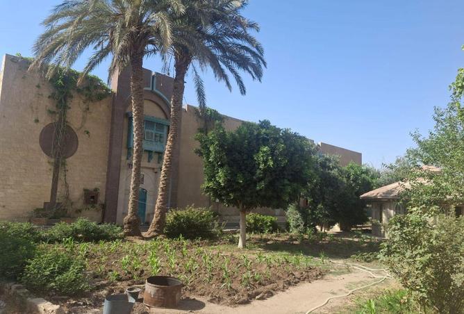 78141412 - صورة العقار 3
