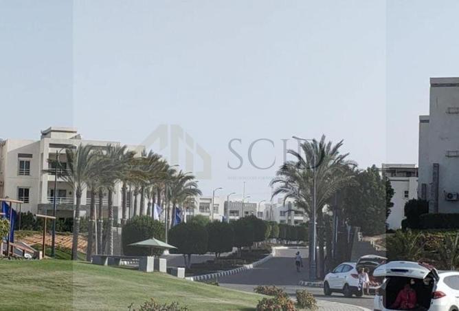 81825090 - Property Image 3
