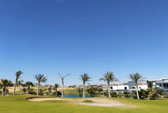 118286727 - صورة العقار 3