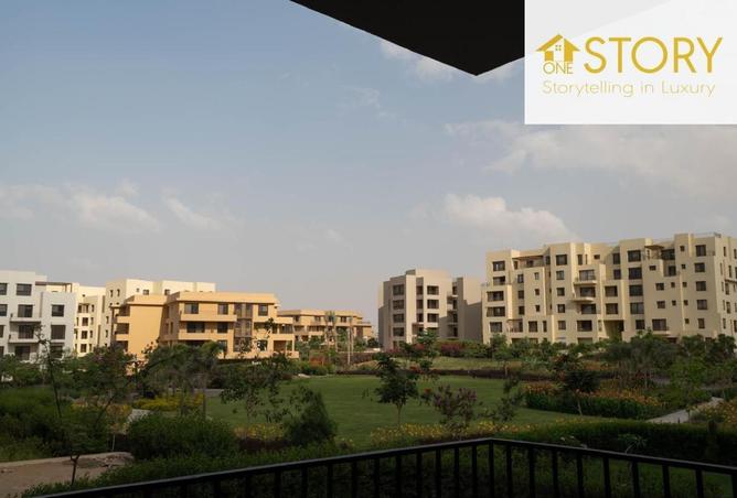 8684079 - Property Image 3