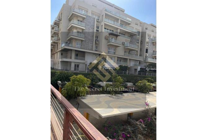 58241533 - Property Image 3