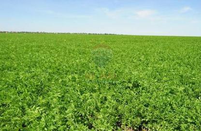 Land - Studio for sale in New Giza - Cairo Alexandria Desert Road - 6 October City - Giza
