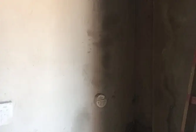114885910 - Property Image 3