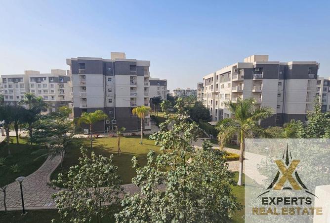 65161610 - صورة العقار 3