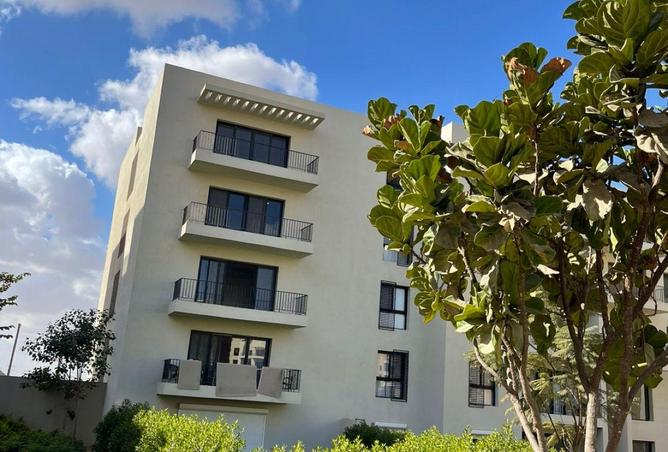 65164146 - Property Image 3