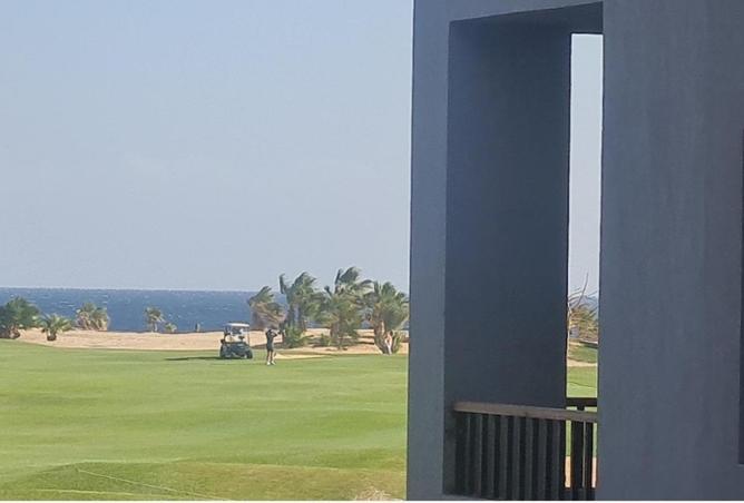 64380561 - صورة العقار 3